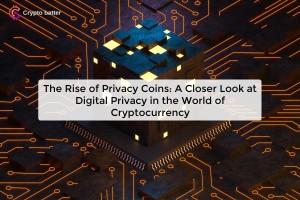 the-rise-of-privacy_172050714045718664.webp