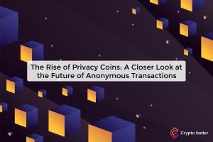 the-rise-of-privacy_172050739068293578.webp